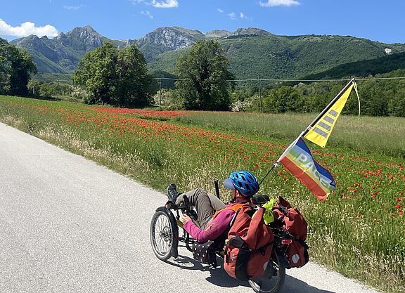 Mit dem Trike auf Reisen Eine Person auf einem liegenden Trike mit Friedensflagge und Gepäcktaschen fährt auf einer Landstraße entlang eines rot blühenden Mohnblumenfeldes mit Bergkulisse im Hintergrund unter blauem Himmel.